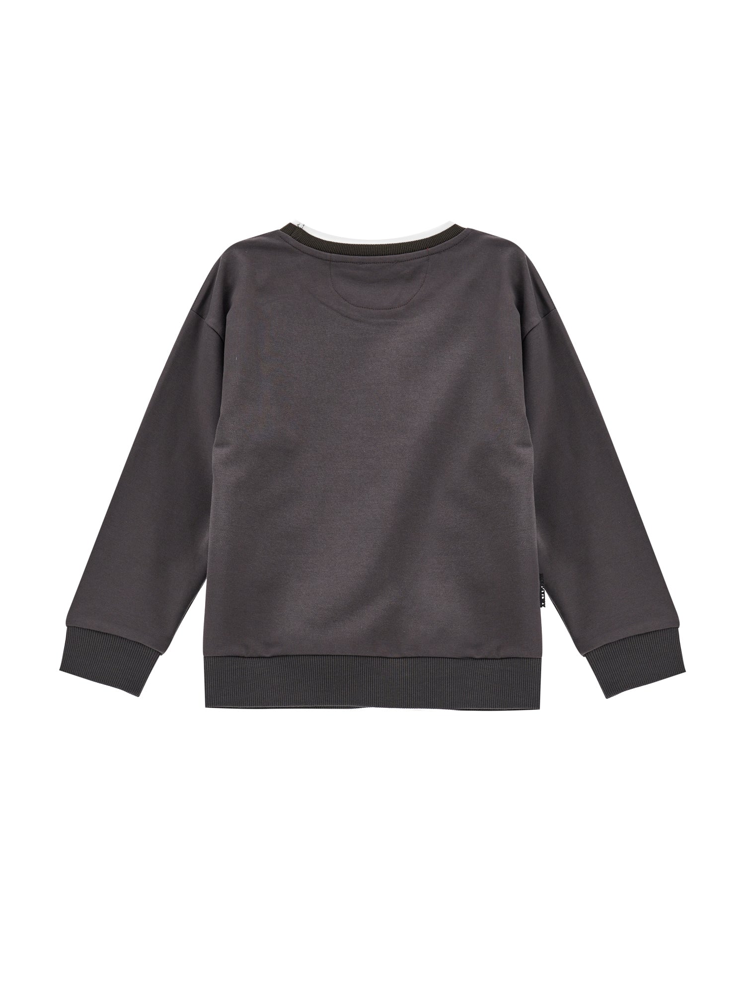 Boys | Mickey Mouse Sweatshirt | Anthracite Grey