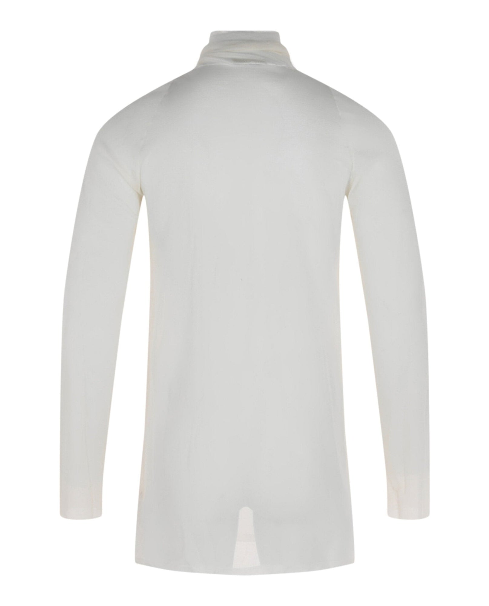 Bottega Veneta | Transparent Silk Turtleneck Sweater