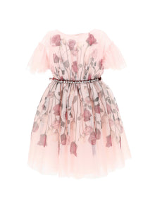 Girls | Rose Print Tulle Dress | Antique Pink