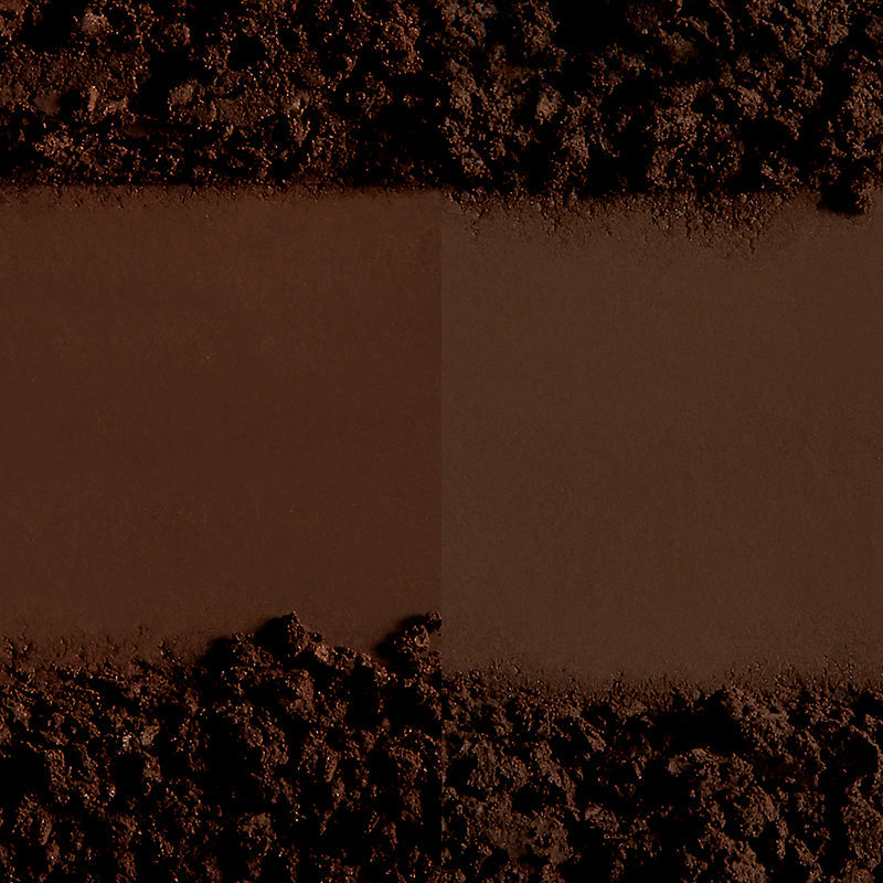 Color + Shape Brow Powder Duo | Dark Brow