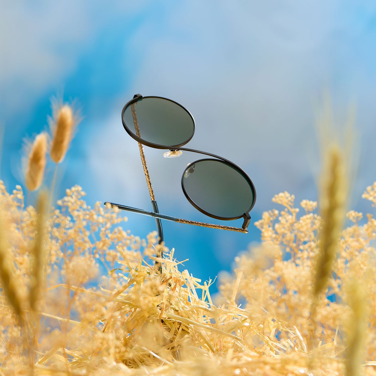 Womens | Elphaba Wire Frames Sunglasses | Classic Black Wire | Emerald Tint Gradient Lenses