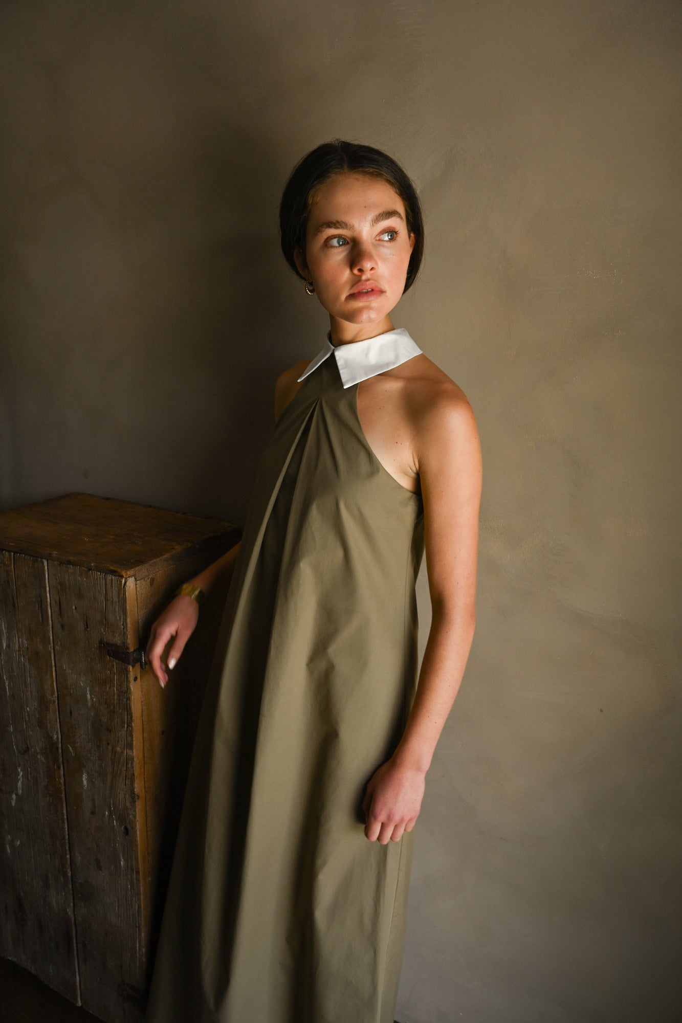 Reilly Cotton Poplin Dress | Olive