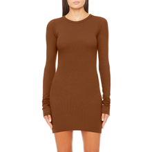 Long Sleeve Crewneck Mini Dress | Earth