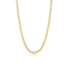 Women | Rosalie Rolo Chain Necklace | 14k Yellow Gold