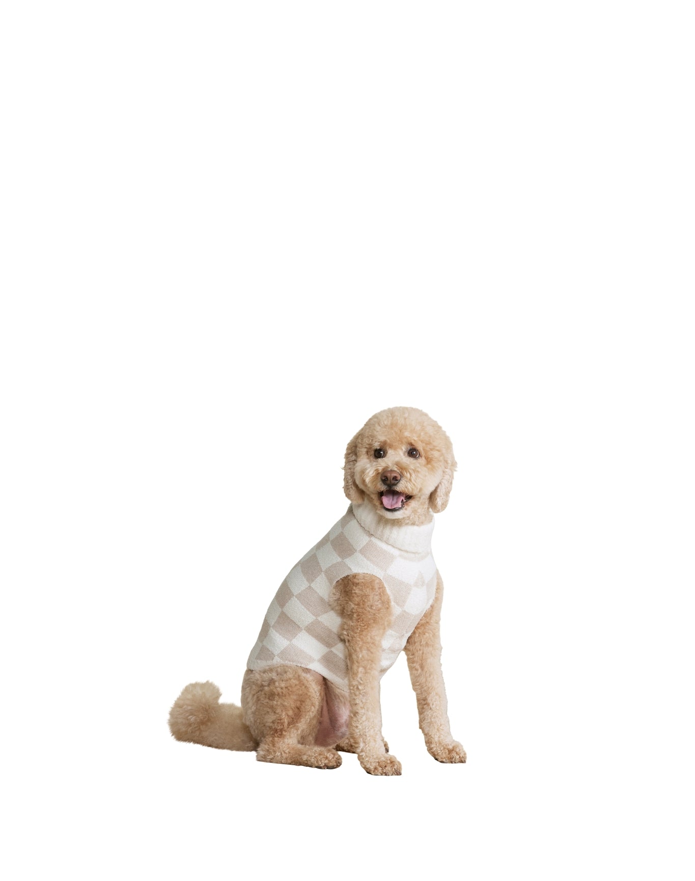 Pet | Cozychic Cotton Checkered Sweater | Oatmeal-Cream