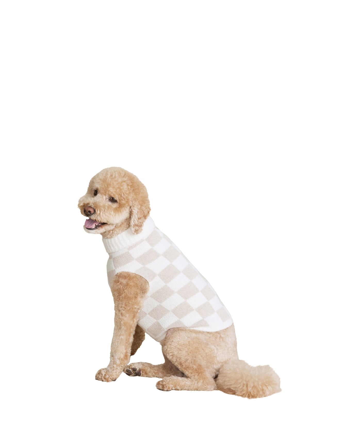 Pet | Cozychic Cotton Checkered Sweater | Oatmeal-Cream