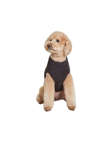 Pet | Cozychic Longhorn Skull Sweater | Carbon-Oyster