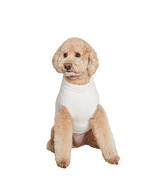 Pet | Cozychic Longhorn Skull Sweater | Cream-Dark Brown