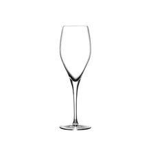 Vintage Champagne Glasses - Rounded | Clear Crystal | Set of 2