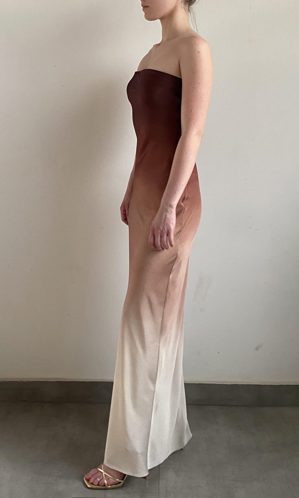 Womens | Kara Polyester Satin Lycra Long Dress | Brown/Beige