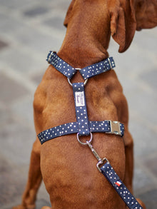 Pet | Dog Harness | Navy