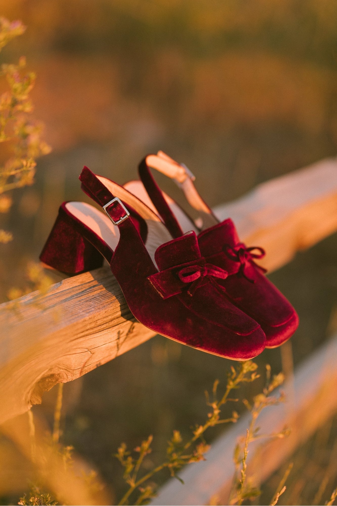 Women | Ivy Bow Loafer | Red