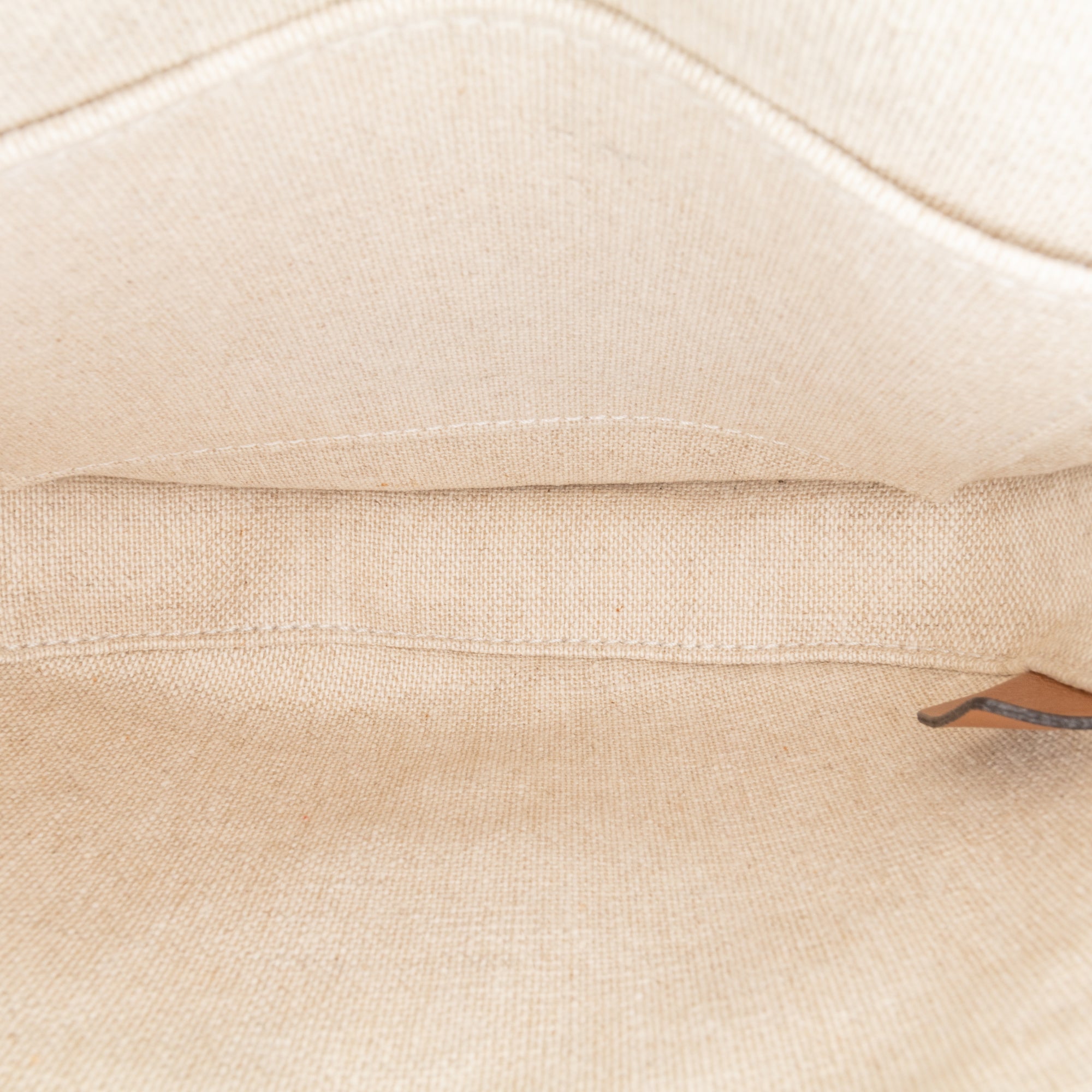 Celine | Pre-Owned Mini Triomphe Canvas and Calfskin Besace Crossbody | Blue/Navy