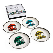 Botanist Small Plate Set | Multi