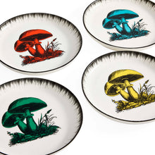 Botanist Small Plate Set | Multi