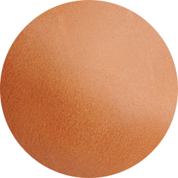 Nico Card Case Wallet | Caramel