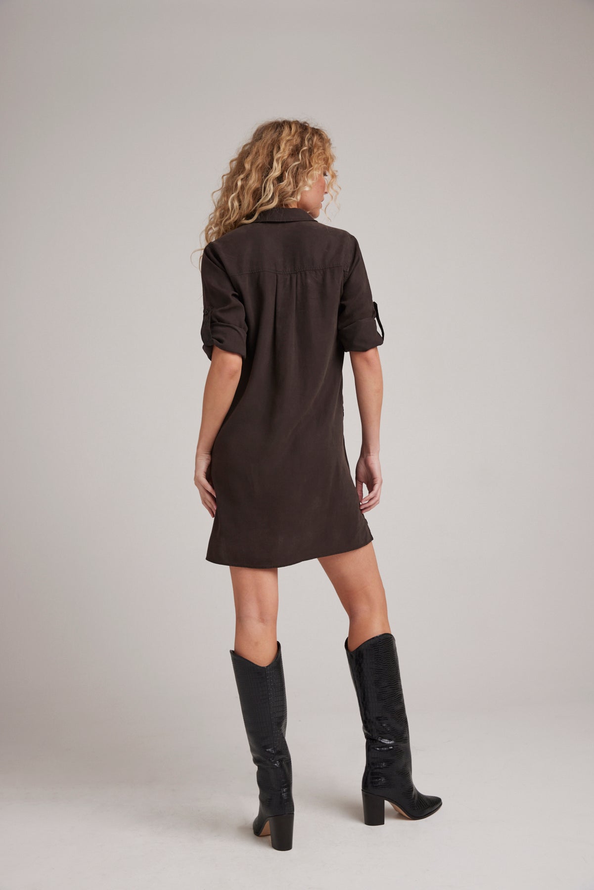 Long Sleeve A-Line Dress - Quartz Brown